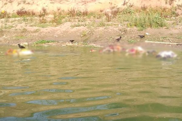 ਗੰਗਾ ਨਦੀ ’ਚੋਂ ਹਜ਼ਾਰਾਂ ਲਾਸ਼ਾਂ ਮਿਲਣ ’ਤੇ ਖੁੱਲ੍ਹੀ ਦੇਸ਼ ਦੇ ਕੋਵਿਡ ਪ੍ਰਬੰਧਾਂ ਦੀ ਪੋਲ : ਜਾਖੜ