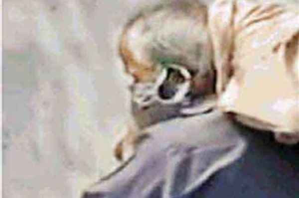 ਜਲੰਧਰ ’ਚ ਬੇਬਸ ਪਿਤਾ ਦੇ ਮੋਢੇ ’ਤੇ ਬੇਟੀ ਦੀ ਲਾਸ਼, ‘ਜਾਗਰਣ ਸਮੂਹ’ ਦੀ ਖ਼ਬਰ ਤੋਂ ਬਾਅਦ ਟੁੱਟੀ ਨੀਂਦ, ਸੁਖਬੀਰ ਬਾਦਲ ਨੇ ਵੀ ਉਠਾਏ ਸਵਾਲ