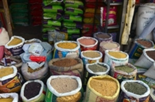 ਕੇਂਦਰ ਨੇ ਰਾਜਾਂ ਨੂੰ ਹਫ਼ਤੇ ਦੇ ਸੱਤੇ ਦਿਨ ਰਾਸ਼ਨ ਦੀਆਂ ਦੁਕਾਨਾਂ ਖੋਲ੍ਹਣ ਦੇ੍ ਦਿੱਤੇ ਨਿਰਦੇਸ਼