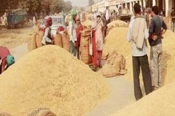 ਮੰਡੀ ਖਾਲੀ ਬਾਰਦਾਨੇ ਦੀ ਘਾਟ ਕਾਰਨ ਕਣਕ ਦੀ ਭਰਾਈ ਅਤੇ ਲਿਫਟਿੰਗ ਦੇ ਕੰਮ ‘ਚ ਆਈ ਖੜ੍ਹੋਤ