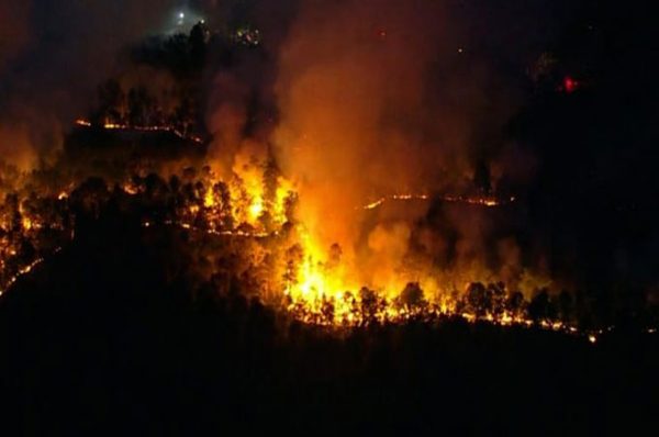 ਨਿਊ ਜਰਸੀ ਦੇ ਜੰਗਲਾਂ ਨੂੰ ਵੀ ਲੱਗੀ ਅੱਗ