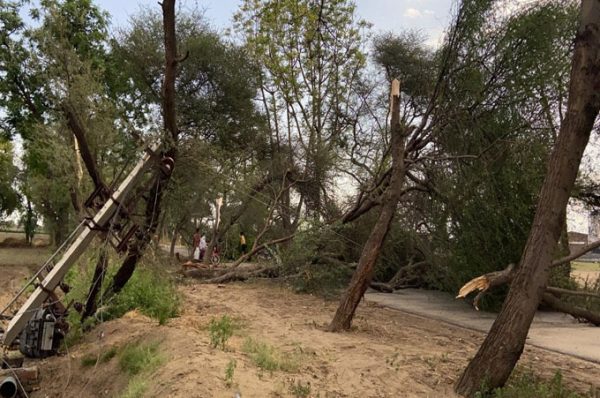 ਤੇਜ਼ ਝੱਖੜ ਕਰ ਕੇ ਹੋਇਆ ਲੱਖਾਂ ਦਾ ਨੁਕਸਾਨ, ਸੜਕਾਂ ‘ਤੇ ਡਿਗੇ ਦਰਖ਼ਤ ਤੇ ਬਿਜਲੀ ਦੇ ਖੰਭੇ