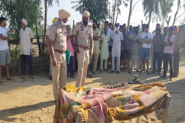 ਖੇਤਾਂ ‘ਚ ਸੁੱਤੇ ਪਏ ਬਜ਼ੁਰਗ ਕਿਸਾਨ ਦਾ ਕਤਲ