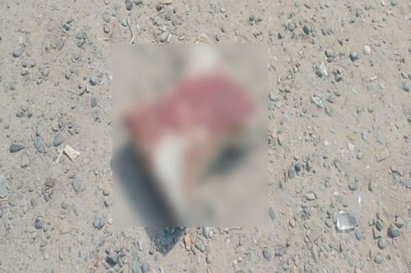 ਜਲੰਧਰ ਵਿਚ ਰਾਤ ਦੇ ਕਰਫ਼ਿਊ ਦੌਰਾਨ ਸੁਰੱਖਿਆ ਗਾਰਡ ਦਾ ਬੇਰਹਿਮੀ ਨਾਲ ਕਤਲ