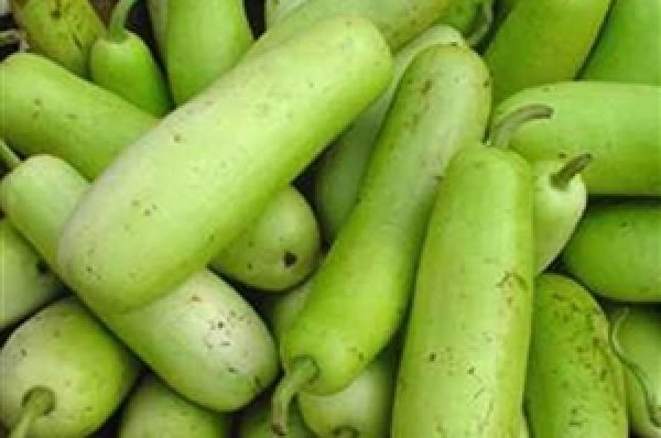 ਲੌਕੀ ਨੇ ਤੋੜੇ ਸਾਰੇ ਰਿਕਾਰਡ, ਜਲੰਧਰ ‘ਚ ਰਿਟੇਲ ‘ਚ ਕੀਮਤਾਂ ਪਹੁੰਚੀਆਂ Rs 80 Per KG, ਮਹੀਨੇ ਦੇ ਅੰਤ ਤਕ ਮਾਰ ਸਕਦੈ ਸੈਂਚੁਰੀ