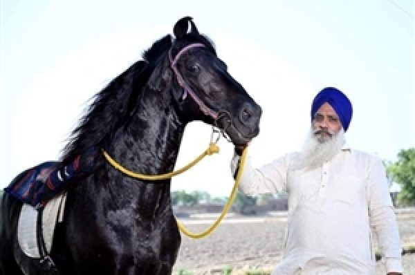 ਸ਼ੌਕ ਦਾ ਨਹੀਂ ਕੋਈ ਮੁੱਲ 74 ਲੱਖ ‘ਚ ਵੀ ਨਾ ਡੁੱਲਿ੍ਹਆ ਦਿਲ