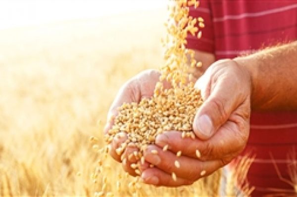 Ration Card ਦੇ ਨਿਯਮਾਂ ‘ਚ ਹੋਇਆ ਵੱਡਾ ਬਦਲਾਅ! ਜਾਣ ਲਓ ਵਰਨਾ ਰਾਸ਼ਨ ਮਿਲਣ ‘ਚ ਹੋ ਸਕਦੀ ਹੈ ਪਰੇਸ਼ਾਨੀ