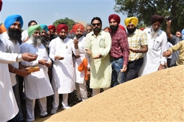ਮੁੱਖ ਮੰਤਰੀ ਚੰਨੀ ਨੇ ਮੋਰਿੰਡਾ ਅਨਾਜ ਮੰਡੀ ਵਿਖੇ ਝੋਨੇ ਦੀ ਸਰਕਾਰੀ ਖਰੀਦ ਸ਼ੁਰੂ ਕੀਤੀ, ਕਿਸਾਨਾਂ ਨਾਲ ਖੜ੍ਹੇ ਰਹਿਣ ਦਾ ਦਿੱਤਾ ਭਰੋਸਾ