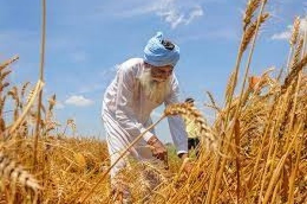 ਕਿਸਾਨੀ ਸੰਕਟ: ਕਿਸਾਨ ਆਪਣੀਆਂ ਜਿਨਸਾਂ ਸਿੱਧੀਆਂ ਖਪਤਕਾਰਾਂ ਨੂੰ ਵੇਚ ਕੇ ਸੰਕਟ ’ਚੋਂ ਨਿਕਲ ਸਕਦਾ