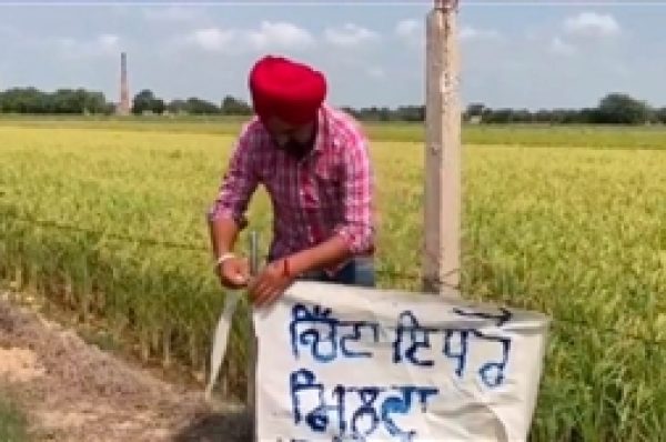 ਚਿੱਟਾ ਇਧਰ ਮਿਲਦਾ ਹੈ….. ਦਾ ਬੋਰਡ ਕਰ ਗਿਆ ਕੰਮ, ਪੰਜਾਬ ਪੁਲਿਸ ਨੇ ਬਠਿੰਡਾ ਦੇ ਪਿੰਡ ਭਾਈ ਬਖਤੌਰ ‘ਚ ਕੀਤੀ ਛਾਪੇਮਾਰੀ