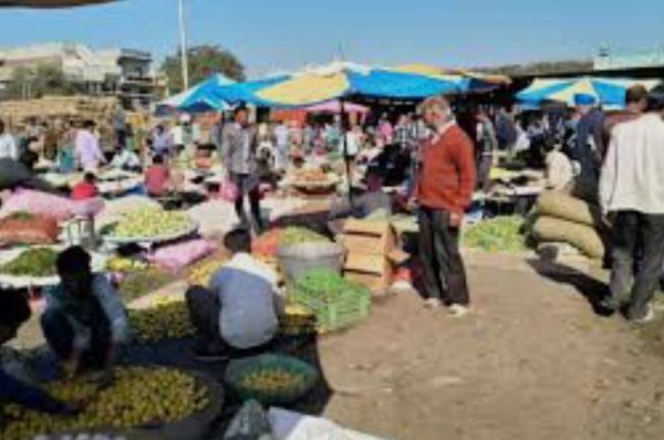 ਮਕਸੂਦਾਂ ਮੰਡੀ ‘ਚ ਥੇਕੇਦਾਰ ਦੀ ਧੱਕੇਸ਼ਾਹੀ ਦੇ ਖਿਲਾਫ ਵਪਾਰੀ ਭੜਕੇ, ਅੱਜੋਂ ਬੰਦ ਦੀ ਚੇਤਾਵਨੀ