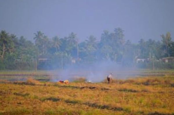 ਜਲੰਧਰ ਜ਼ਿਲ੍ਹੇ ਵਿੱਚ ਪਰਾਲੀ ਸਾੜਨ ’ਤੇ ਸਖ਼ਤੀ — 26 ਕਲਸਟਰ ਅਫਸਰਾਂ ਨੂੰ ਕਾਰਨ ਦੱਸੋ ਨੋਟਿਸ, ਹੁਣ ਤੱਕ 430 ਐਫਆਈਆਰ ਦਰਜ